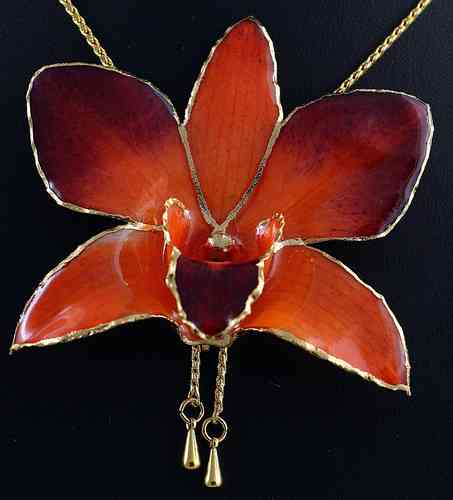Orchidee Dendrobium Orange