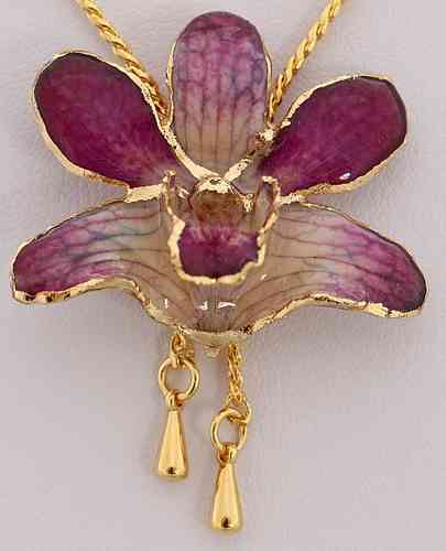 Orchidee  Lila - Weiss