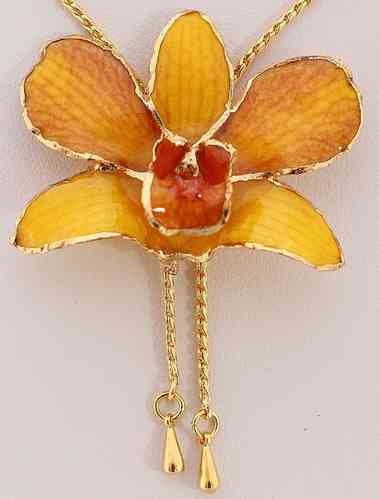 Orchidee  Gelb