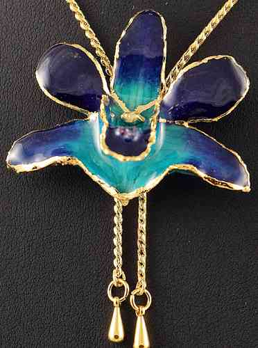Orchidee Blau