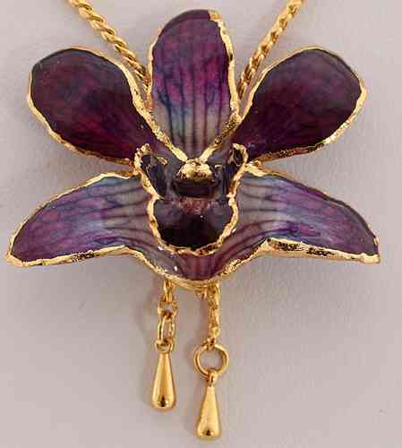 Orchidee  Lila
