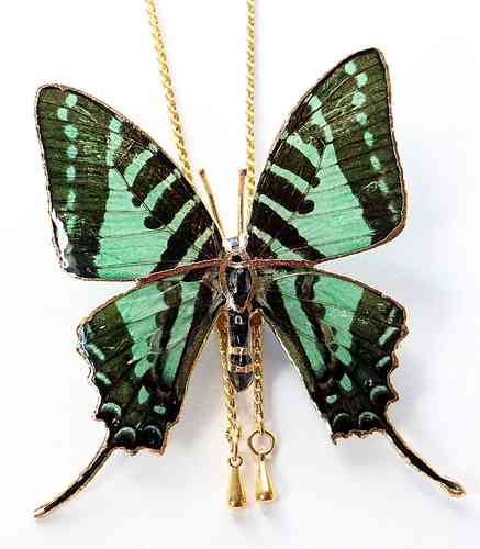 Schmetterling Halskette