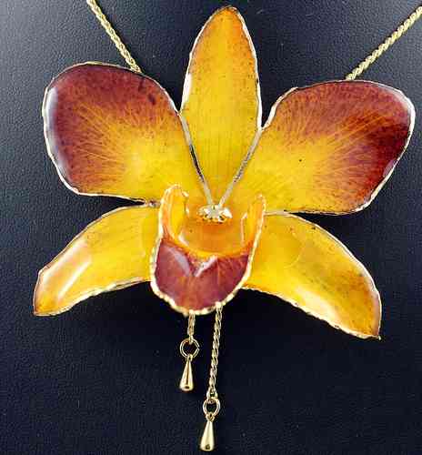 Orchidee Dendrobium Gelb